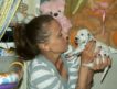 продается за символическую сумму щенок далматина (алиментный). д.р — 17 декабря 2011 года, кобель, окрас: черно-белый